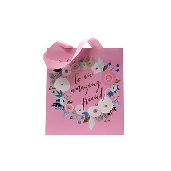 Punga pentru cadouri - Dyment Amazing Friend Punga pentru cadouri - Dyment Amazing Friend