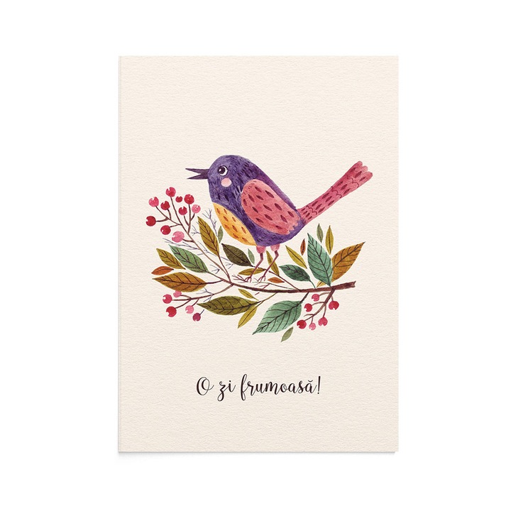 Felicitare Cute Bird, Zizula Cards, Multicolor, 105 x 150 mm