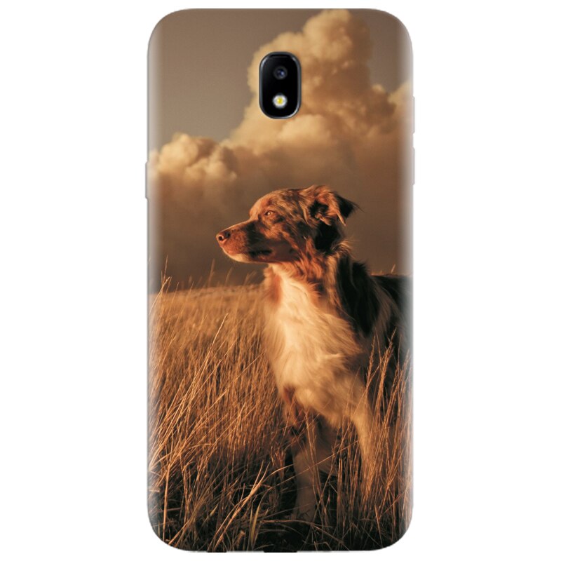 Husa silicon pentru Samsung Galaxy A7 2017, Alone Dog Animal In Grass