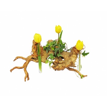 Aranjament floral radacina naturala, Splendor, Natur, 19X38 cm Aranjament floral radacina naturala, Splendor, Natur, 19X38 cm