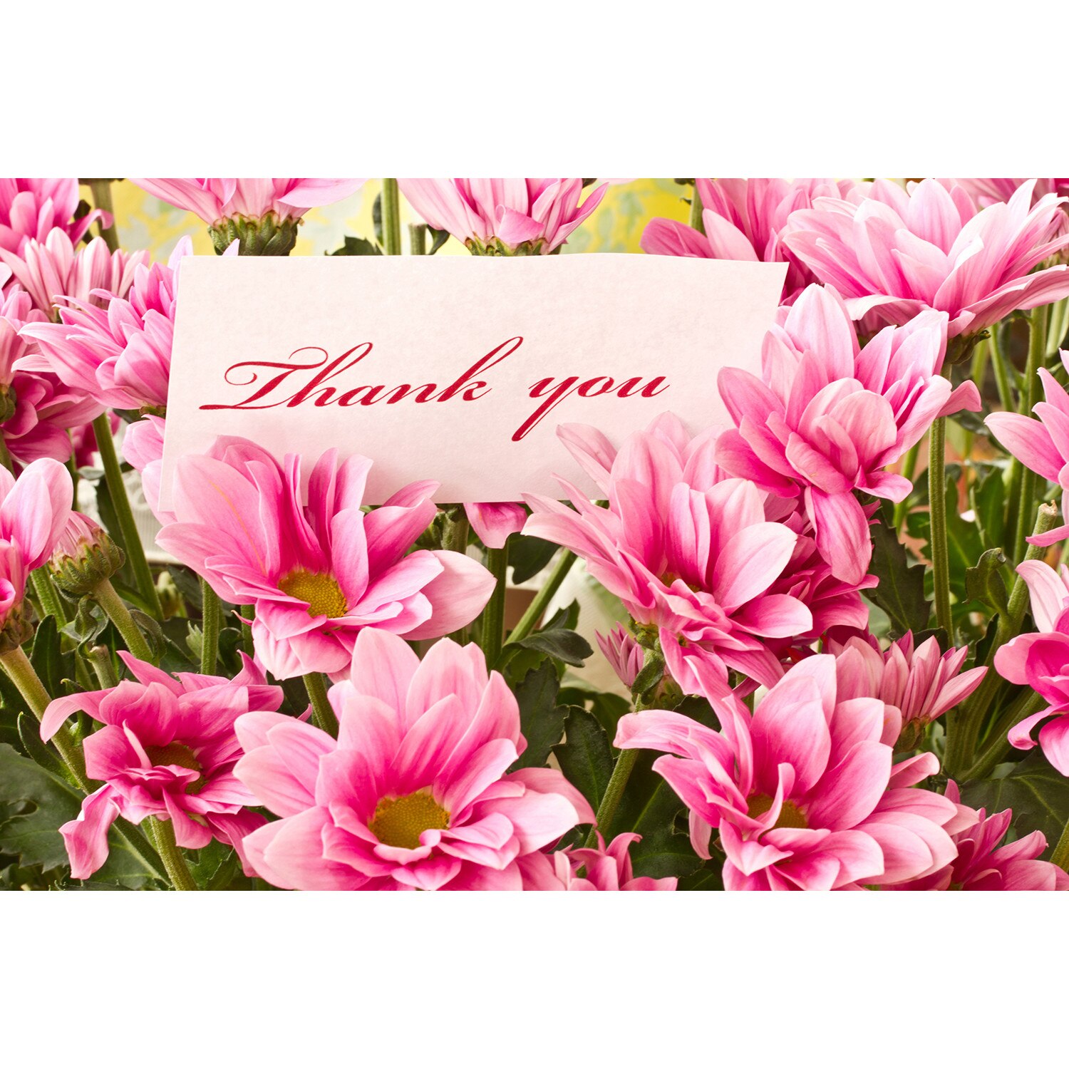 Тапети стикер Best Decor Цветя_675 95x63cm eMAG.bg