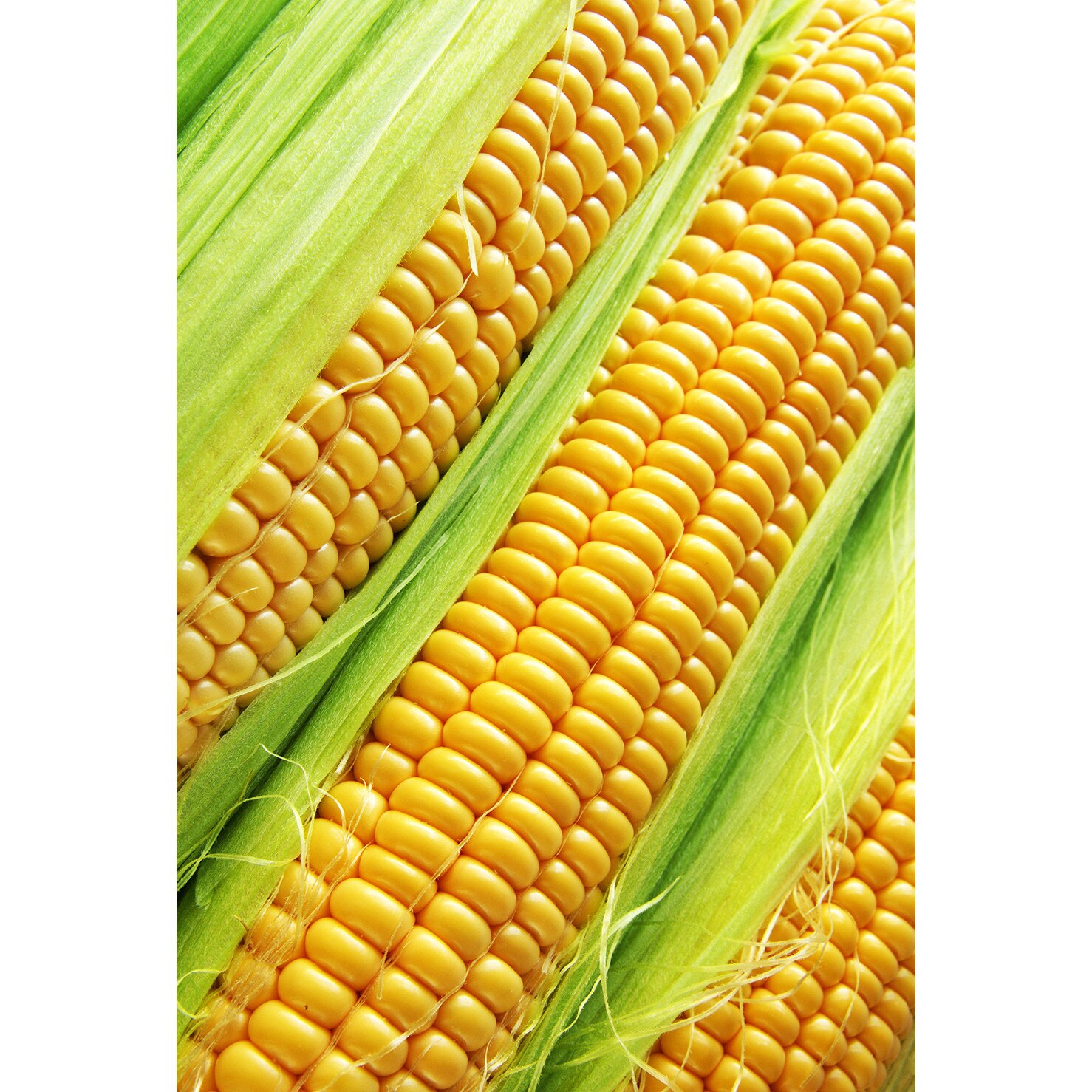 Тапети стикер Best Decor Цветя_1629 150x222cm eMAG.bg