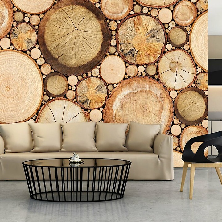 Fotótapéta - Magányos törzsek 400x280