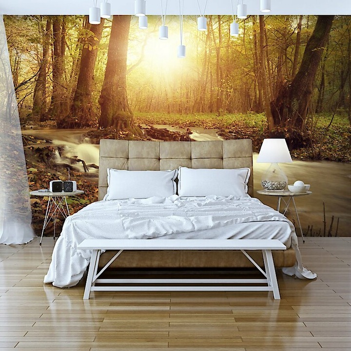 Fotótapéta - Napsütés az erdőben 400x280