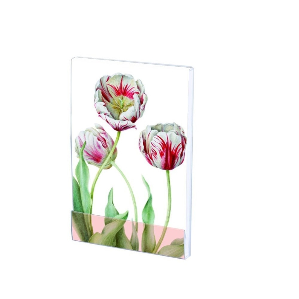 Carnet notite A7 Tulipa 'Teyler', Anita, 64 pagini