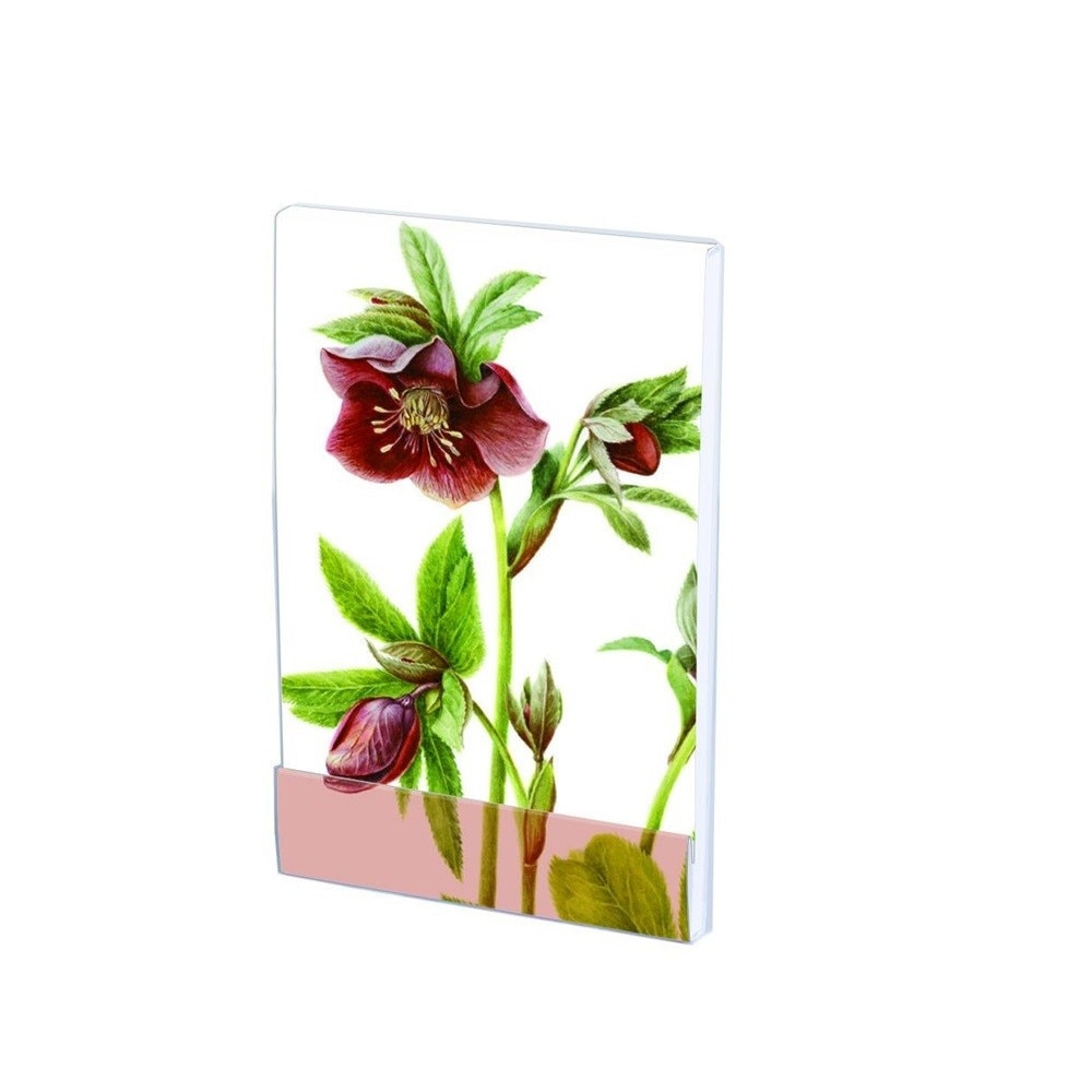 Carnet notite A7 Helleborus, Anita Walsm, 64 pagini