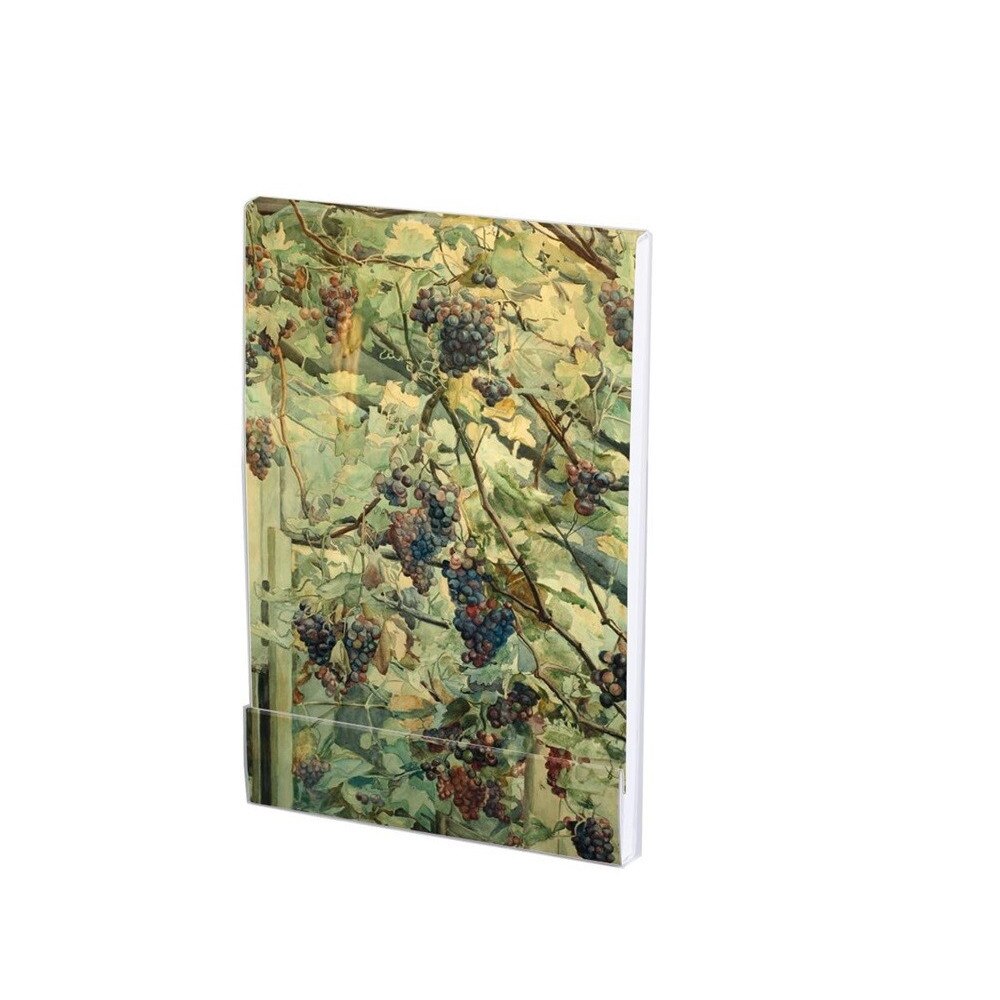 Carnet notite A7 Grapes in a greenhouse, 64 pagini