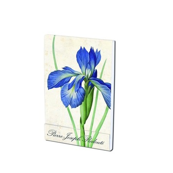 Carnet notite A7 Redouté, Iris, Teylers, 64 pagini Carnet notite A7 Redouté, Iris, Teylers, 64 pagini