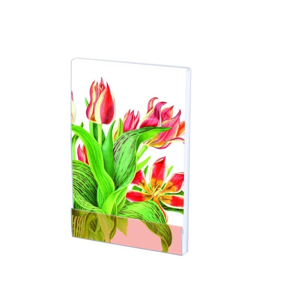 Carnet notite A7 Tulipa 'Plaisir' Anita, 64 pagini