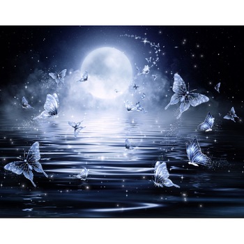 Fototapet de perete autoadeziv si lavabil Fluturi in lumina noptii, 270 x 200 cm Fototapet de perete autoadeziv si lavabil Fluturi in lumina noptii, 270 x 200 cm