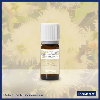 Ulei esential organic cu aroma de Niaouli 100 % organic, remediu pentru raceala, picioare grele Ulei esential organic cu aroma de Niaouli 100 % organic, remediu pentru raceala, picioare grele