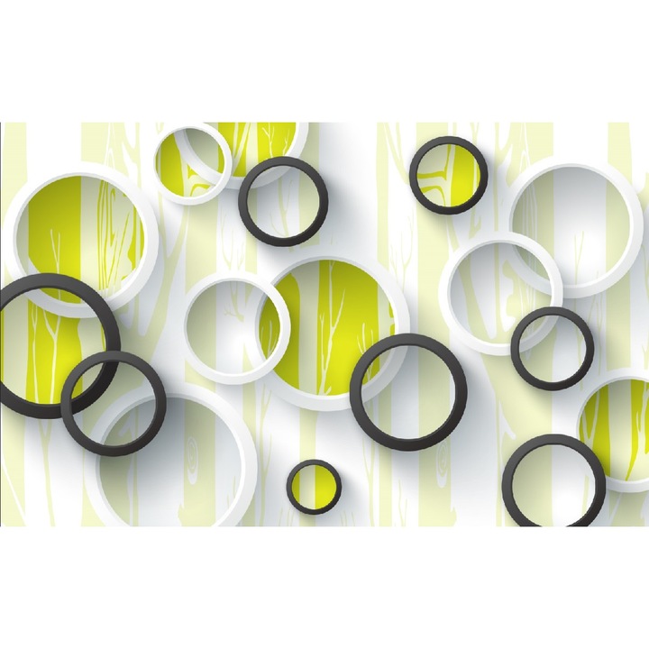 Fototapet Cercuri albe si negre, 400 x 250 cm