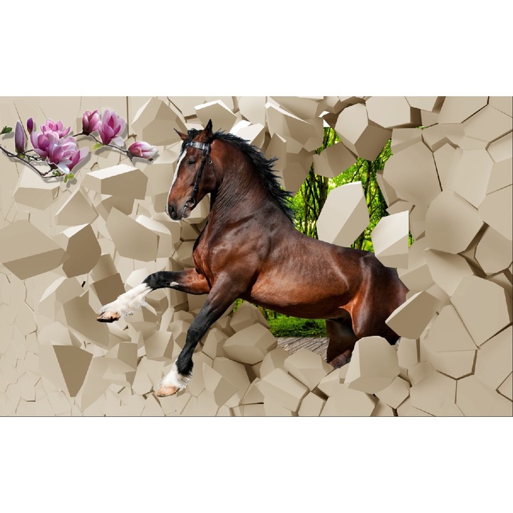 Fototapet Galop peste obstacole, 400 x 250 cm