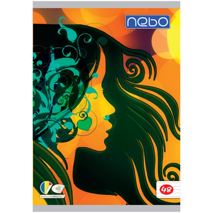 Caiet NEBO A4 DICTANDO 65-70 g / mp 48 файл Премиум, Момиче Абстракция, Robentoys