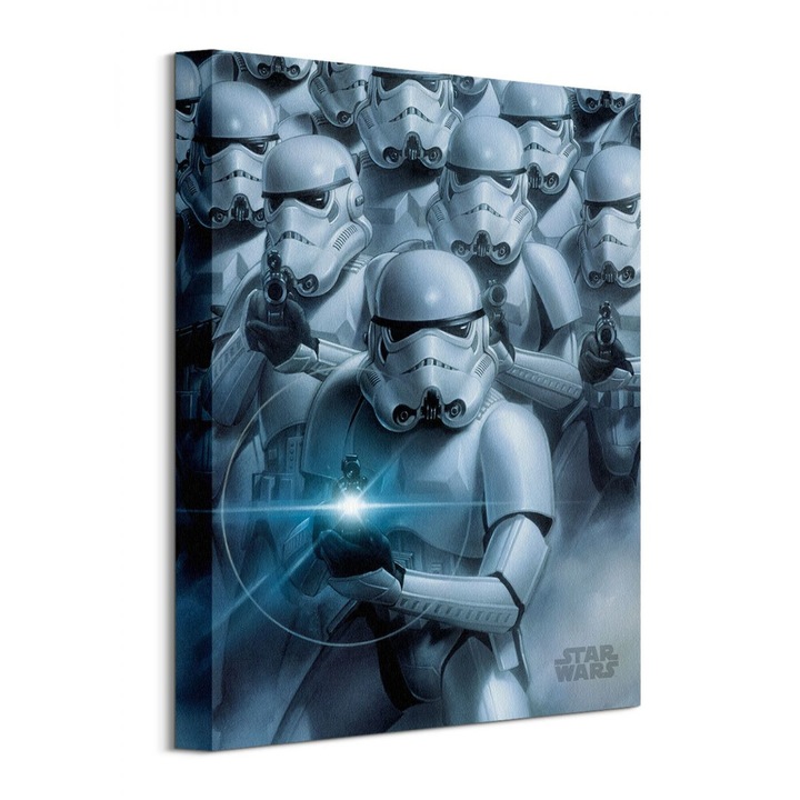 Star Wars Stormtroopers vászonkép 30x40 cm WDC92713