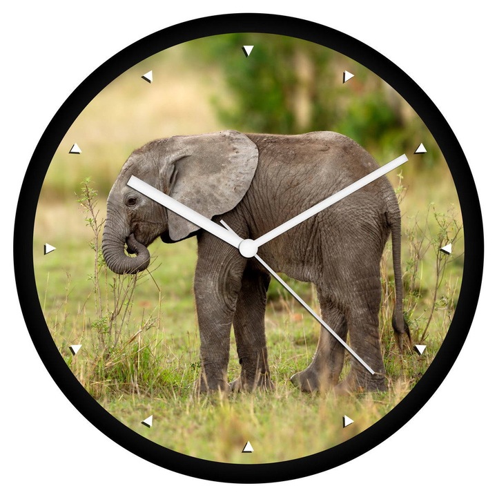 Ceas de perete, Chimera Creative Studio Bt., Multicolor