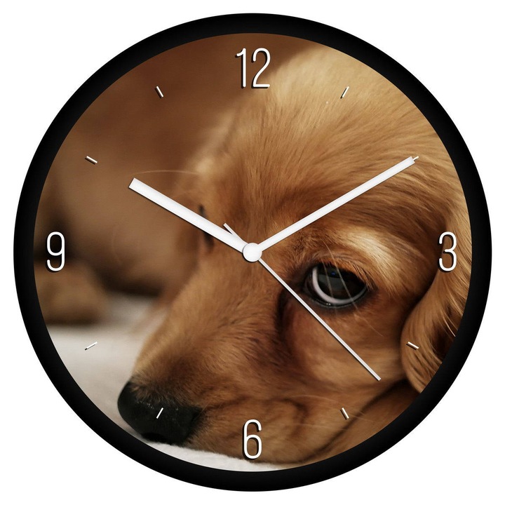 Kölyök spániel falióra - negyedes