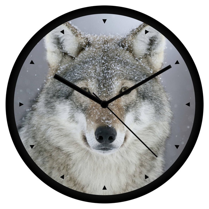 Farkas falióra - órás