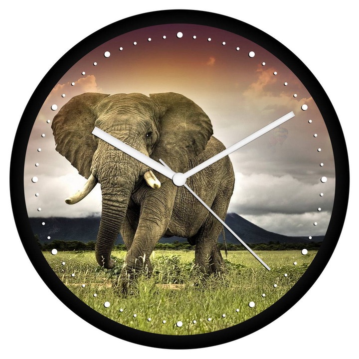 Elefánt falióra - perces