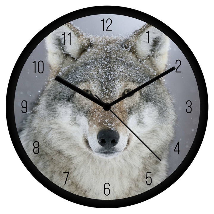 Farkas falióra - számos