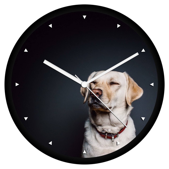 Labrador falióra - órás