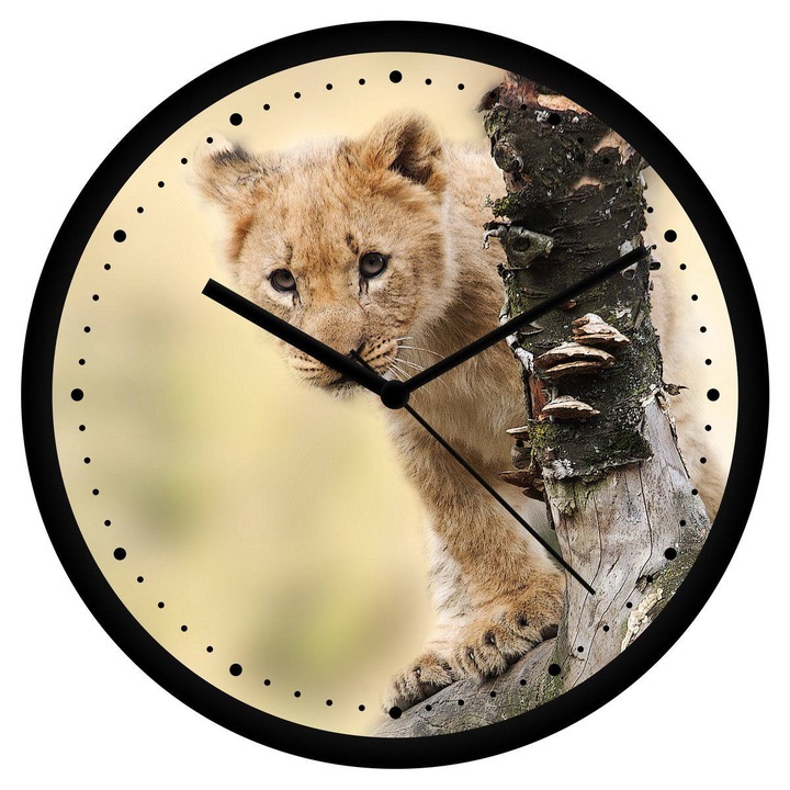 Oroszlán kölyök falióra - perces