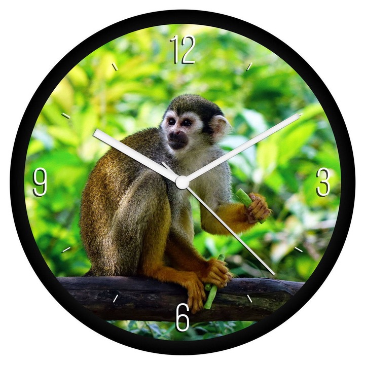 Mókusmajom falióra - negyedes
