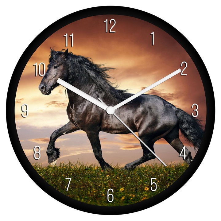 Ló 2 falióra - számos