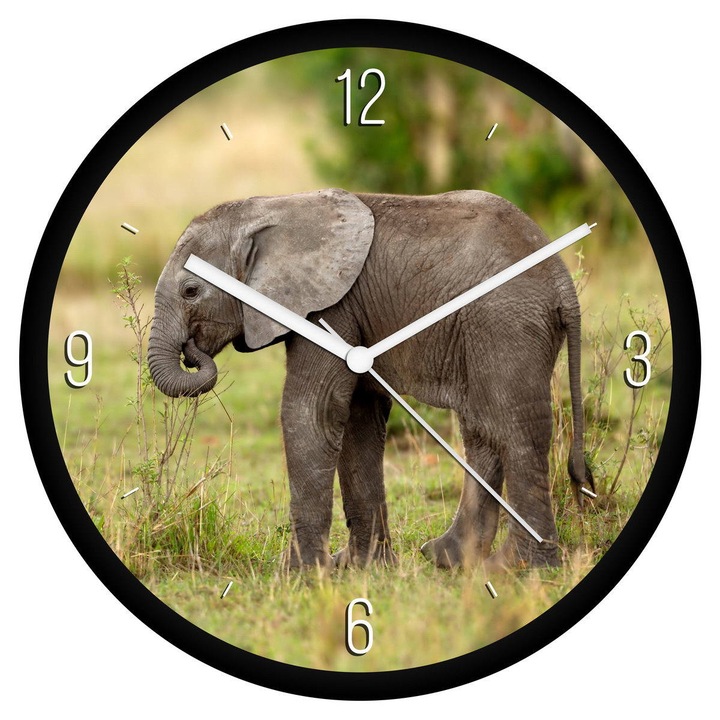 Bébi elefánt falióra - negyedes