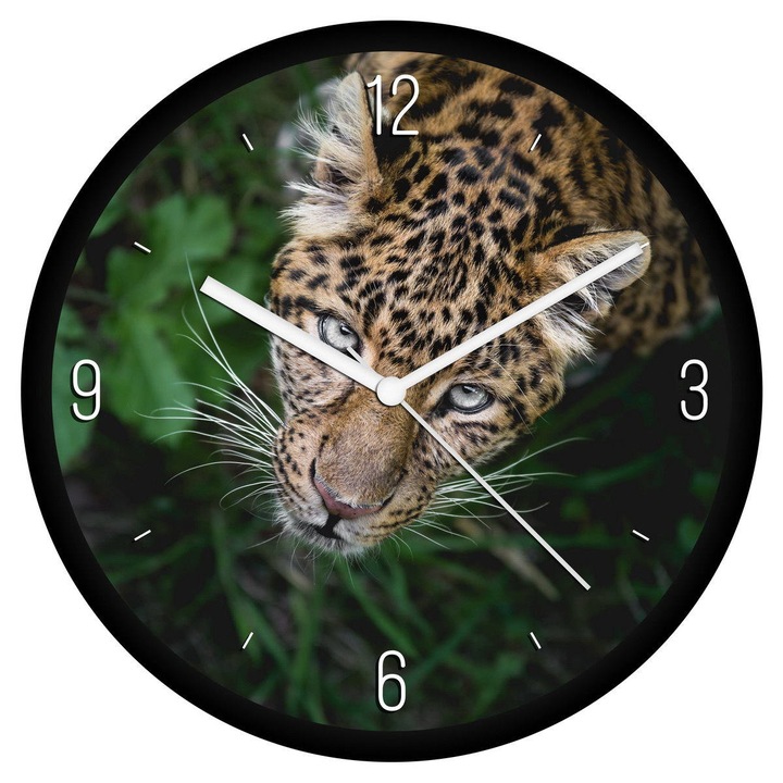 Fürkésző leopárd falióra - negyedes