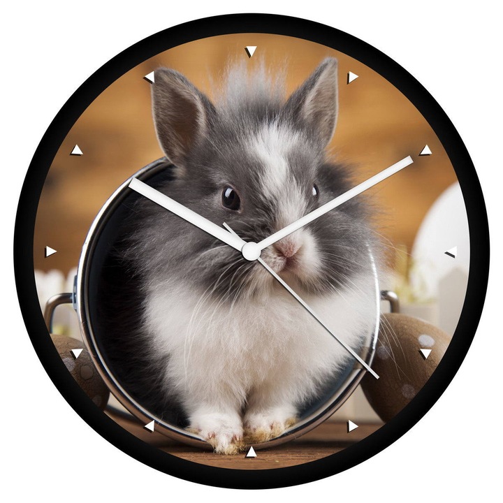 Nyuszi falióra - órás