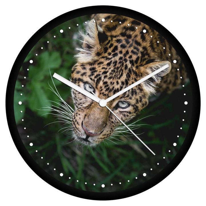 Fürkésző leopárd falióra - perces
