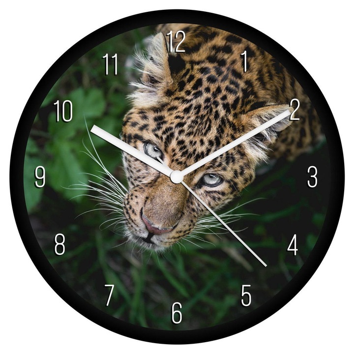 Fürkésző leopárd falióra - számos