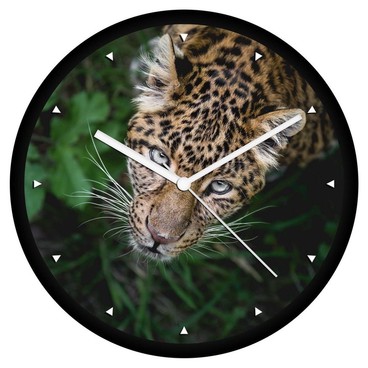 Fürkésző leopárd falióra - órás