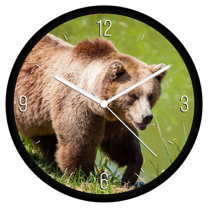 Barna medve falióra - negyedes