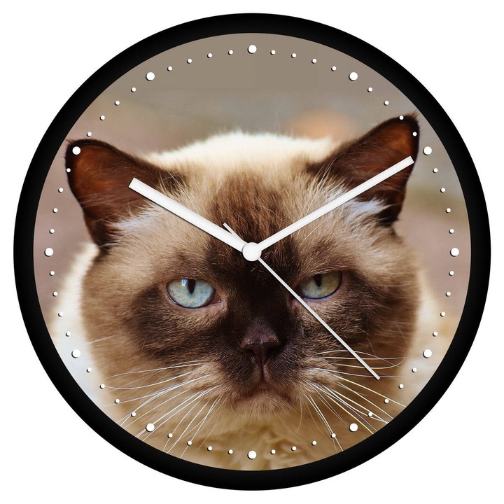 Mogorva cica falióra - perces