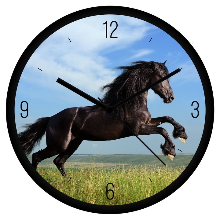 Ló 1 falióra - negyedes