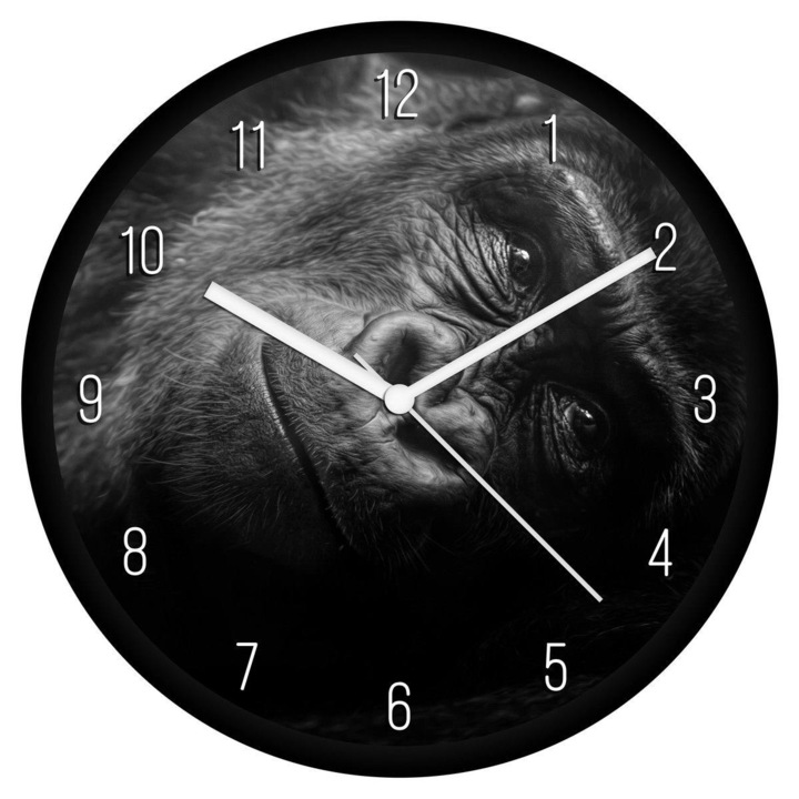 Gorilla bébi falióra - számos