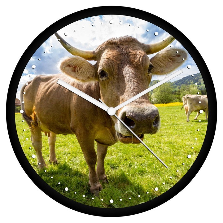 Marha falióra - perces