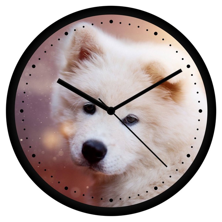 Szamojéd falióra - perces