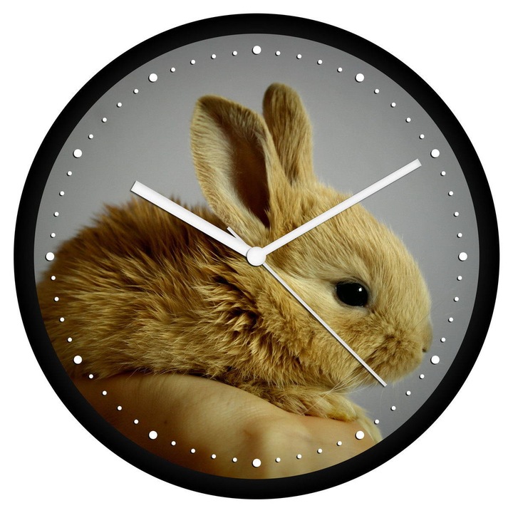 Törpenyúl falióra - perces