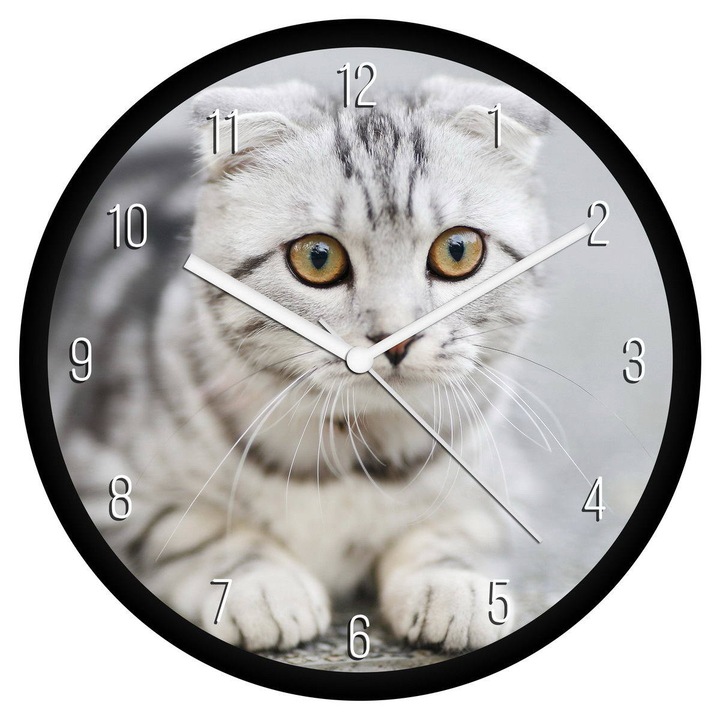 Lógó fülű cica falióra - számos