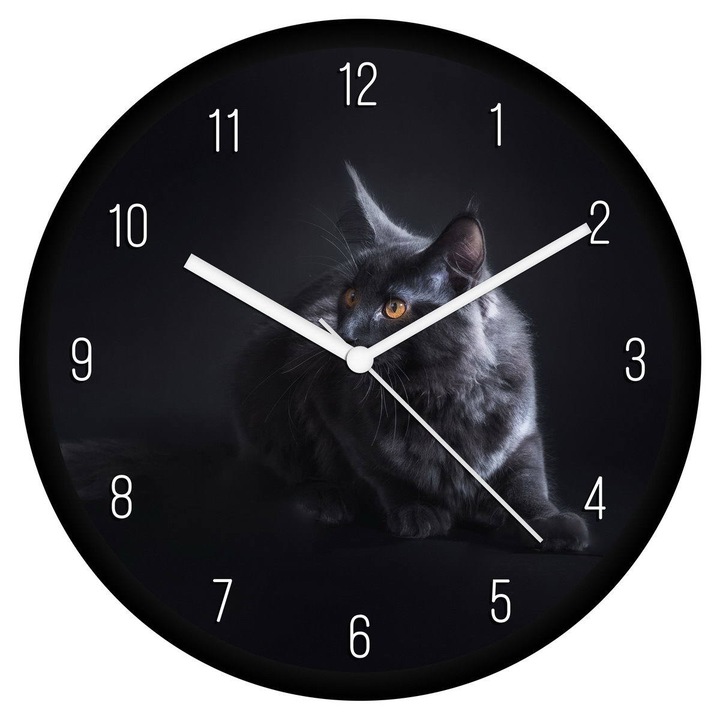 Szürke cica 2 falióra - számos