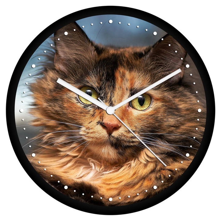 Tarka cica falióra - perces