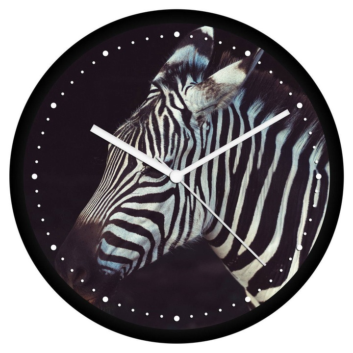 Zebra falióra - perces