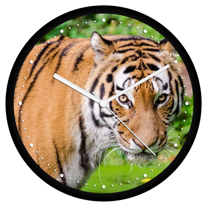 Tigris falióra - perces