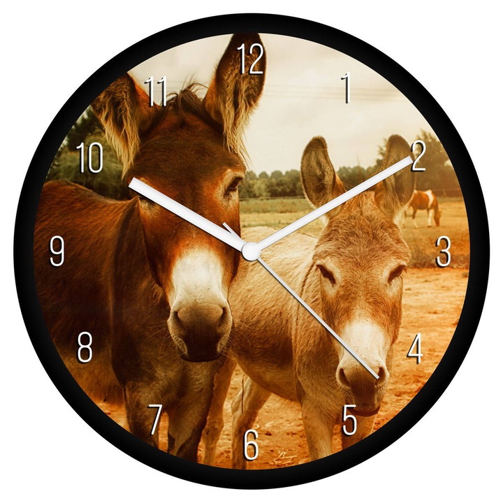 Szamarak falióra - számos