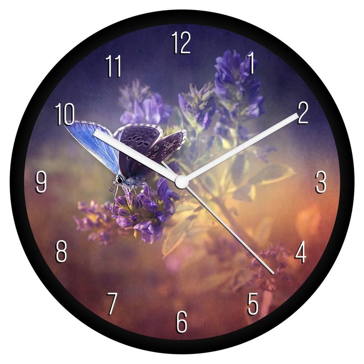 Pillangó falióra - számos
