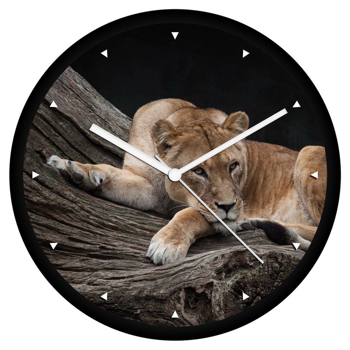Nőstény oroszlán falióra - órás