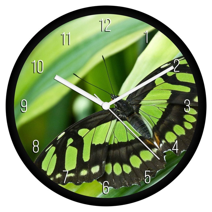 Zöld pillangó falióra - számos